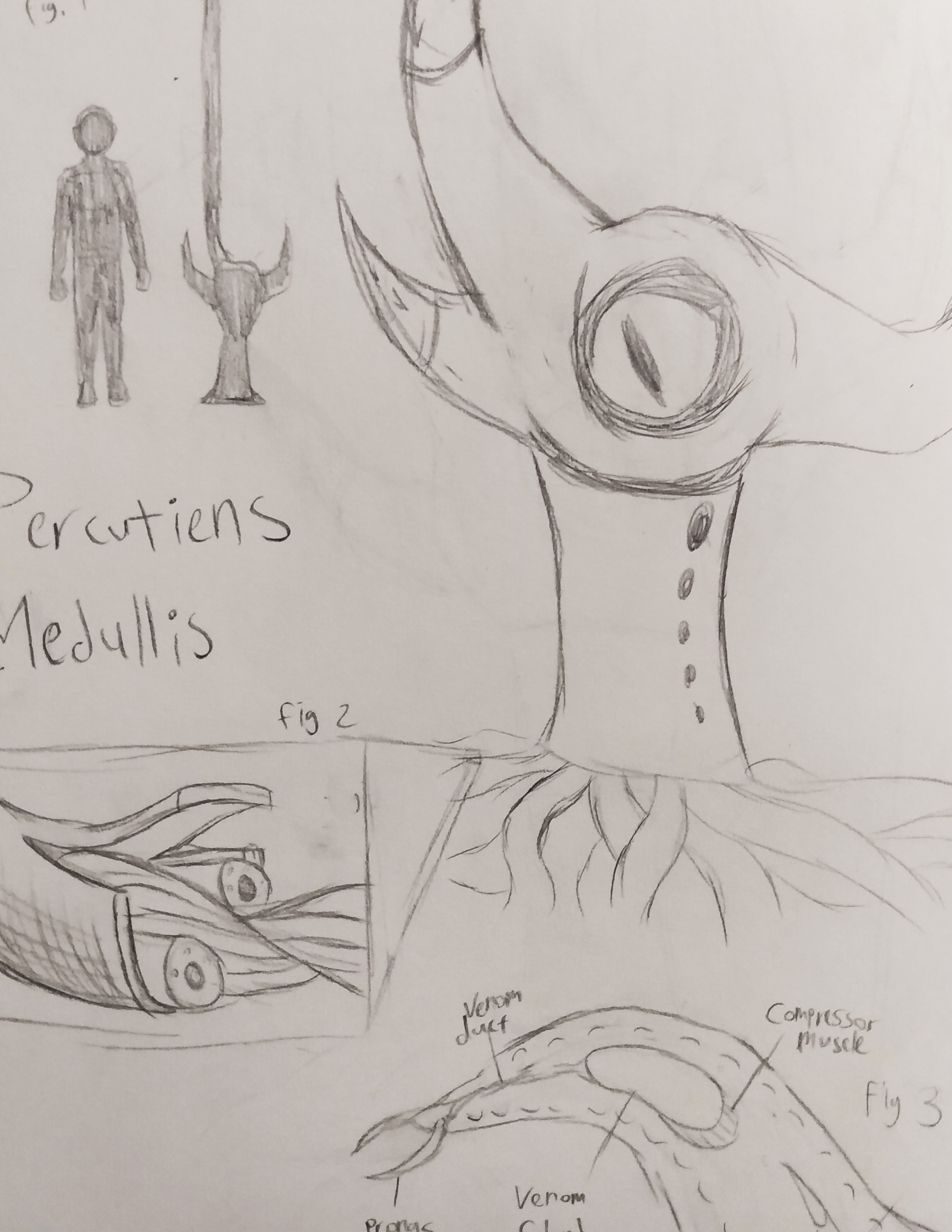 Exerpt from Marrow Barnacle Research Documents